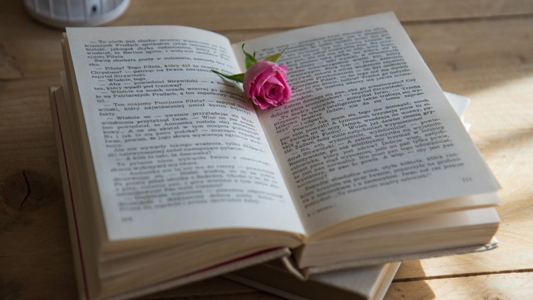 Knjige koje definitivno treba sada da pročitate!