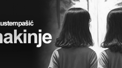 Recenzija romana Bliznakinje